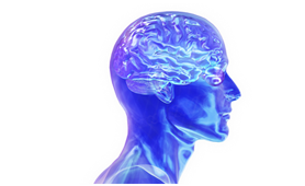 Estrategias e intervenciones salud mental Estrategias e intervenciones salud mental